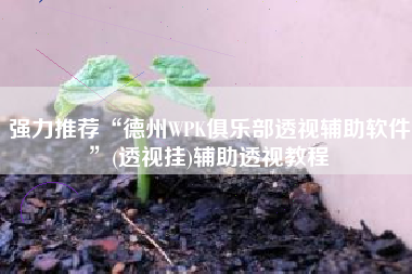强力推荐“德州WPK俱乐部透视辅助软件”(透视挂)辅助透视教程