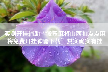 实测开挂辅助“微乐麻将山西扣点点麻将免费开挂神器下载”其实确实有挂