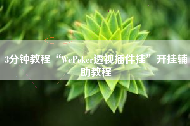 3分钟教程“WePoker透视插件挂	”开挂辅助教程