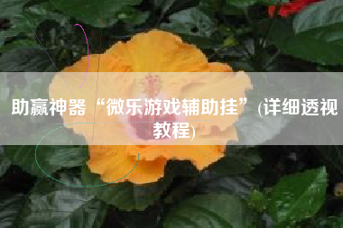 助赢神器“微乐游戏辅助挂”(详细透视教程)
