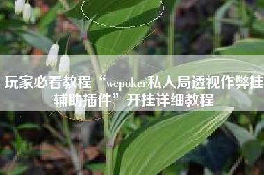 玩家必看教程“wepoker私人局透视作弊挂辅助插件	”开挂详细教程