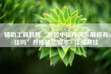 辅助工具教程“微信小程序微乐麻将有挂吗”开挂辅助脚本+详细开挂