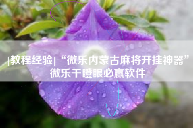 [教程经验]“微乐内蒙古麻将开挂神器	”微乐干瞪眼必赢软件