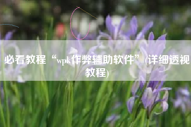 必看教程“wpk作弊辅助软件	”(详细透视教程)