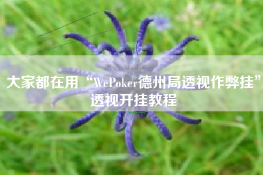 大家都在用“WePoker德州局透视作弊挂”透视开挂教程