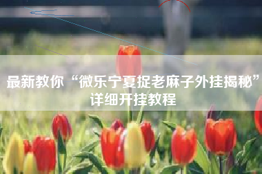 最新教你“微乐宁夏捉老麻子外挂揭秘”详细开挂教程