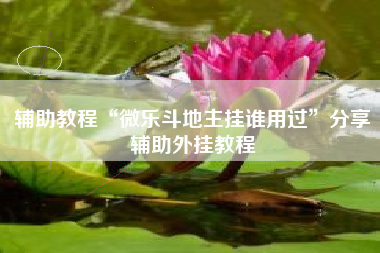 辅助教程“微乐斗地主挂谁用过	”分享辅助外挂教程