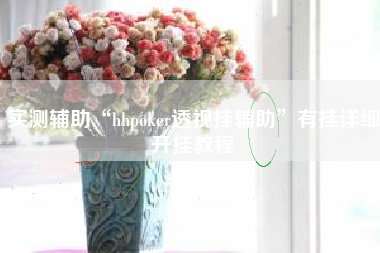 实测辅助“hhpoker透视挂辅助”有挂详细开挂教程
