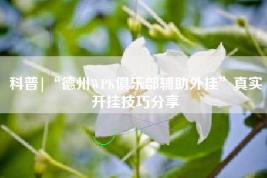 科普|“德州WPK俱乐部辅助外挂	”真实开挂技巧分享