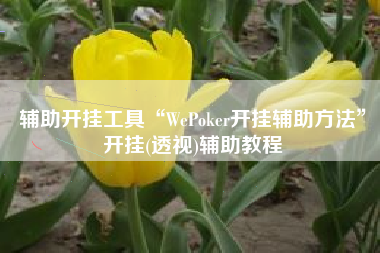 辅助开挂工具“WePoker开挂辅助方法”开挂(透视)辅助教程