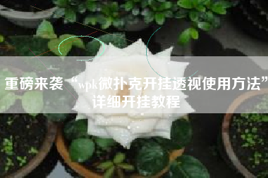 重磅来袭“wpk微扑克开挂透视使用方法	”详细开挂教程