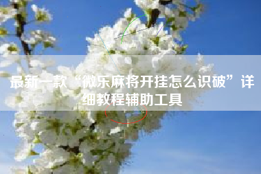 最新一款“微乐麻将开挂怎么识破”详细教程辅助工具