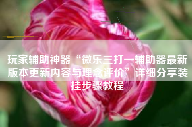 玩家辅助神器“微乐三打一辅助器最新版本更新内容与理念评价”详细分享装挂步骤教程