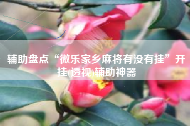 辅助盘点“微乐家乡麻将有没有挂”开挂(透视)辅助神器