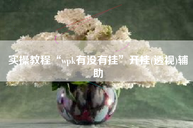 实操教程“wpk有没有挂”开挂(透视)辅助