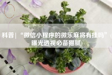 科普|“微信小程序的微乐麻将有挂吗	”(曝光透视必备猫腻)