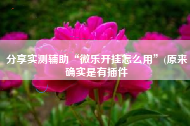 分享实测辅助“微乐开挂怎么用”(原来确实是有插件