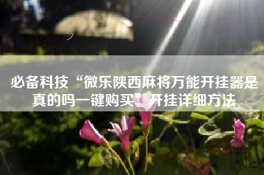 必备科技“微乐陕西麻将万能开挂器是真的吗一键购买”开挂详细方法