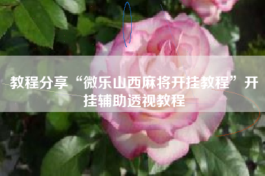 教程分享“微乐山西麻将开挂教程	”开挂辅助透视教程