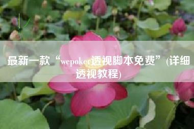 最新一款“wepoker透视脚本免费	”(详细透视教程)