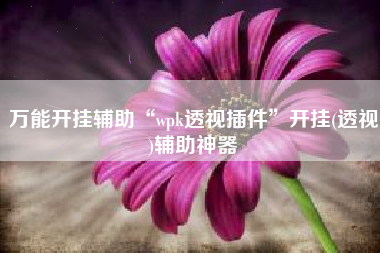 万能开挂辅助“wpk透视插件”开挂(透视)辅助神器