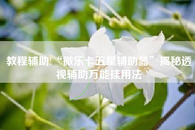 教程辅助!“微乐卡五星辅助器”揭秘透视辅助万能挂用法