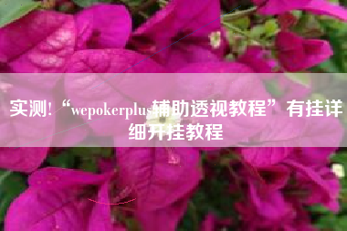 实测!“wepokerplus辅助透视教程	”有挂详细开挂教程