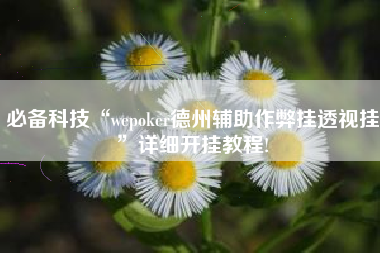 必备科技“wepoker德州辅助作弊挂透视挂”详细开挂教程!