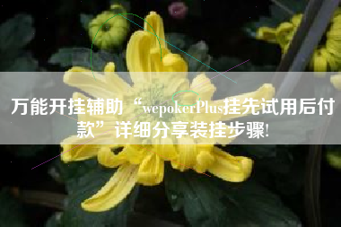 万能开挂辅助“wepokerPlus挂先试用后付款”详细分享装挂步骤!