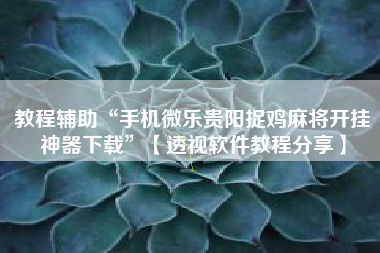 教程辅助“手机微乐贵阳捉鸡麻将开挂神器下载”【透视软件教程分享】