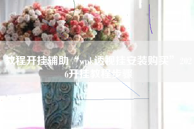 教程开挂辅助“wpk透视挂安装购买”2026开挂教程步骤