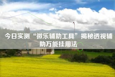 今日实测“微乐辅助工具	”揭秘透视辅助万能挂用法