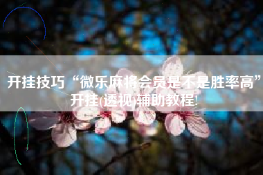 开挂技巧“微乐麻将会员是不是胜率高”开挂(透视)辅助教程!