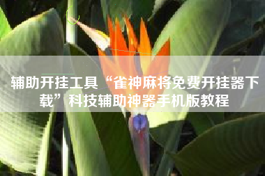 辅助开挂工具“雀神麻将免费开挂器下载	”科技辅助神器手机版教程