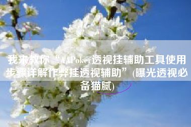 我来教你“AAPoker透视挂辅助工具使用步骤详解作弊挂透视辅助”(曝光透视必备猫腻)