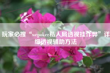 玩家必搜“wepoker私人局透视挂作弊”详细透视辅助方法