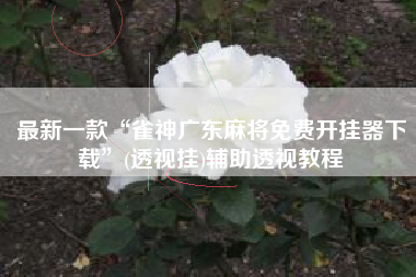 最新一款“雀神广东麻将免费开挂器下载”(透视挂)辅助透视教程