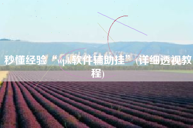 秒懂经验“wpk软件辅助挂”(详细透视教程)