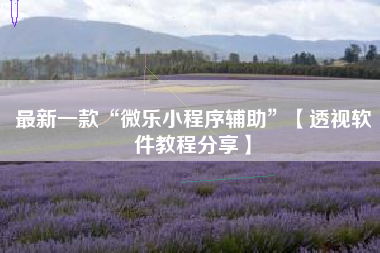 最新一款“微乐小程序辅助”【透视软件教程分享】