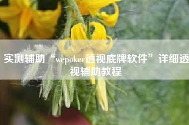 实测辅助“wepoker透视底牌软件	”详细透视辅助教程