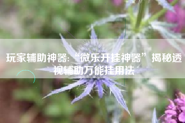 玩家辅助神器:“微乐开挂神器	”揭秘透视辅助万能挂用法