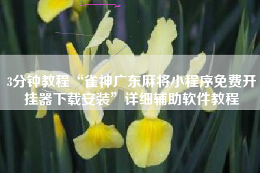 3分钟教程“雀神广东麻将小程序免费开挂器下载安装	”详细辅助软件教程