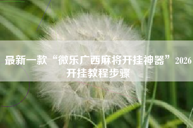 最新一款“微乐广西麻将开挂神器”2026开挂教程步骤