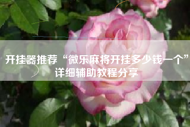 开挂器推荐“微乐麻将开挂多少钱一个”详细辅助教程分享