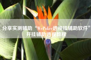 分享实测辅助“WePoker透视挂辅助软件”开挂辅助透视教程