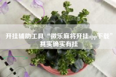 开挂辅助工具“微乐麻将开挂app下载”其实确实有挂