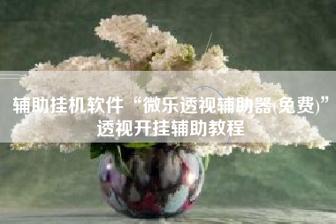 辅助挂机软件“微乐透视辅助器(免费)	”透视开挂辅助教程