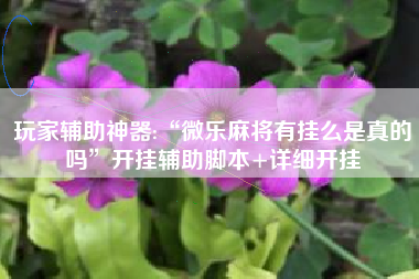 玩家辅助神器:“微乐麻将有挂么是真的吗”开挂辅助脚本+详细开挂