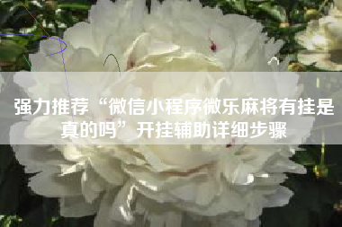 强力推荐“微信小程序微乐麻将有挂是真的吗”开挂辅助详细步骤